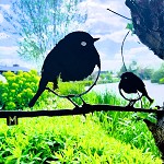 Metalbird
Roodborst
met kind